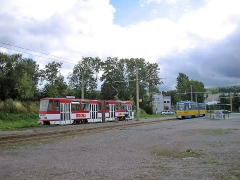 neider_gth_2133_g