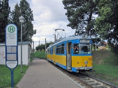 neider_gth_2137_g