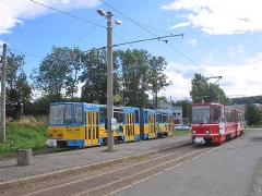 neider_gth_2145_g