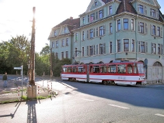 neider_gth_2171_g