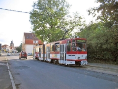 neider_gth_2173_g