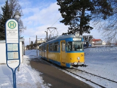 neider_gth_2575_g