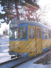 neider_gth_2576_g
