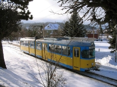 neider_gth_2583_g