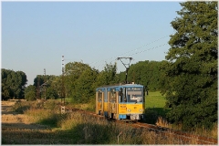 Hier geht es vom Boxberg abwärts. Tw 301 bei Leina. (5. September 2005)