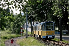 Meine letzten Fotos von der Waldbahn entstanden noch bei Schneefall. Nach längerer Pause nun wieder einmal ein sommerliches Foto: Tw 305 in Tabarz. (Juni 2005)