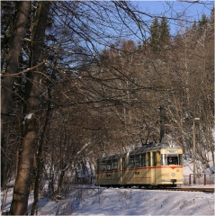 Tw 43 in Reinhardbrunn (FoSoFa 2005)