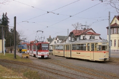 Doch das sollte sich bald ändern: Tw 303, 317, 215, (Tw 39 hält sich versteckt). (FoSoFa 2007)