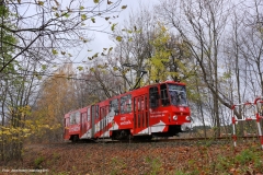 Tw 310 - Waldbahn (2013)