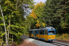 TW 505 - Thüringerwaldbahn . Herbstfarben (2013)