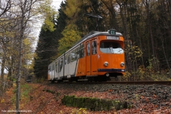 Tw 522 - Oldie im Wald (2013)