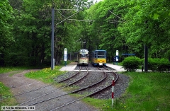 neuhold_0714_g