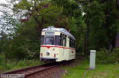neuhold_0740_g