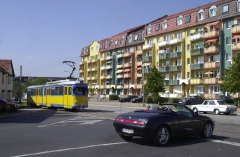 neuhold_1573_g