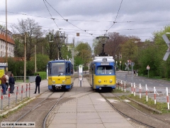 neuhold_2387_g