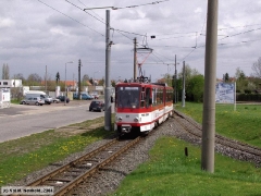 neuhold_2389_g