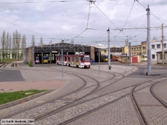 neuhold_2390_g