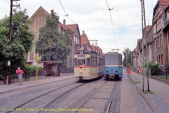 wuensche_tw037_kgo-k91042_g