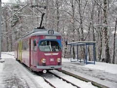 Triebwagen 396 am Hp Reinhardsbrunn Teiche. (28. Dezember 2004)