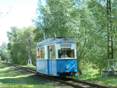 Triebwagen 39 in Wahlwinkel. (12.9.2004)