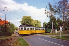 Wahlwinkel