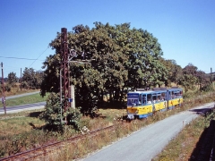 sewo_gth_tw301_02_g