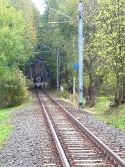 Triebwagen 308 im Wald unmittelbar vor der Marienglashöhle. (16. Oktober 2004)
