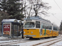 Triebwagen 395 an der Halstestelle Wagenhalle. (31. Januar 2005)