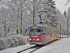 Triebwagen 396 bei der Einfahrt zur Hst. Friedrichroda. (27. Dezember 2004)