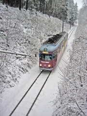 Triebwagen 396 zwischen Tabarz und Marienglashöhle. (27. Dezember 2004)