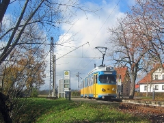 Triebwagen 396 in der Herbstsonne in Wahlwinkel. (5. November 2005)