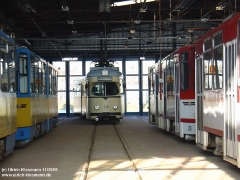 blick_in_die_wgnhalle_gth