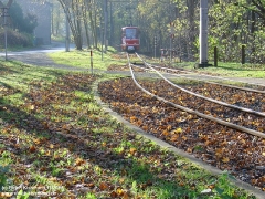 reinhardsbrunn_m_anfahrendem_zg