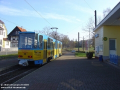 tabarz