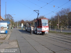 tw_309_gth_hbf_01