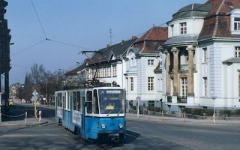 TW 301 | Orangerie | 29.02.1992 | (c) H. Männel