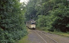 An der Haltestelle Reinhardsbrunn Teiche waren die Weichen zum Kreuzungsgleis damals schon ausgebaut. Von hier war es nicht weit zu unserer