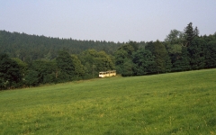 Kurz vor Tabarz verlässt die Waldbahn dann den finsteren Wald. (14.07.1987)