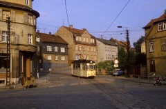 ... das untere Ende des Nelkenbergs gegen 20 Uhr in güldenes Abendlicht.