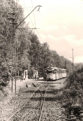 tw-214_reinhardsbrunner-teiche_1971