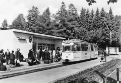 twsb-213-tabarz-postkarte-slg-pk