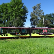 gth-twsb-hartung-tw111-102