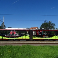 gth-twsb-hartung-tw111-105