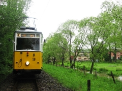 htw-56_bei-veg-siedlung-sundhausen_27-05-2013_c-hartung