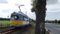 tw-442_km-11-leina_17-08-2013_c-hartung_1