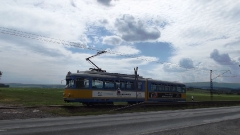 tw-442_km-11-leina_17-08-2013_c-hartung_3