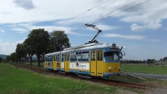 tw-442_km-11-leina_17-08-2013_c-hartung_4