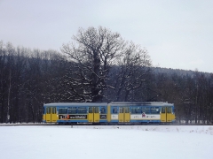 tw-442_marienglashoehle-alte-eiche_23-03-2013_c-hartung