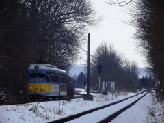 tw-442_schnepfenthal_23-03-2013_c-hartung