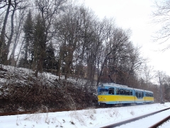 tw-505_bei-schnepfenthal_23-03-2013_c-hartung